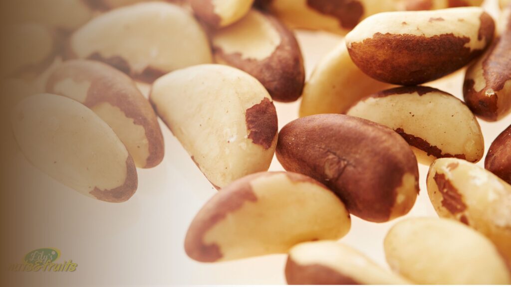 Fresh Brazil nuts showing the Brazil nuts benefits of a single-nut selenium powerhouse