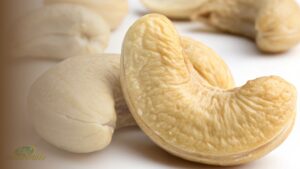 Fresh premium cashew nuts showing the cashew nuts benefits of a nutrient-dense daily snack