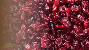 Fresh dried cranberries showing the dried cranberries benefits of a tart, antioxidant-rich snack