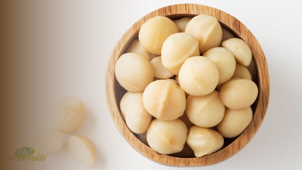 Fresh premium macadamia nuts showing the macadamia nuts benefits of a rich, heart-healthy snack
