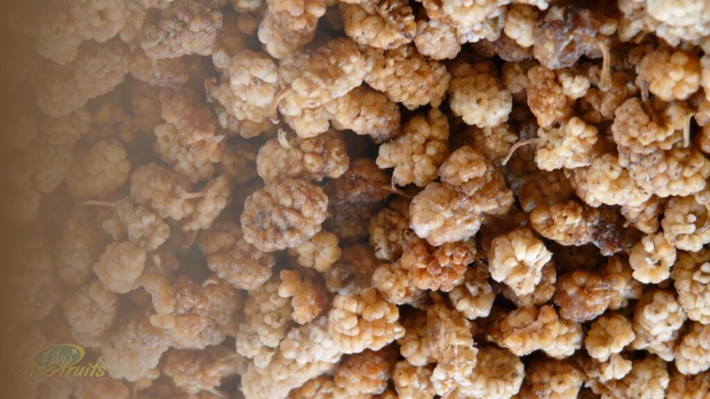 where to buy dried mulberries in abuja